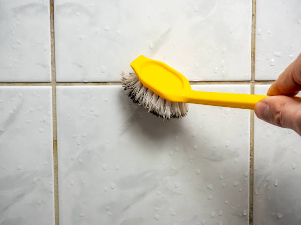 Best Mold Remediation for Specific Building Types in Topaz Ranch Estates, NV