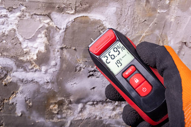 Best Crawl Space Mold Remediation in Topaz Ranch Estates, NV