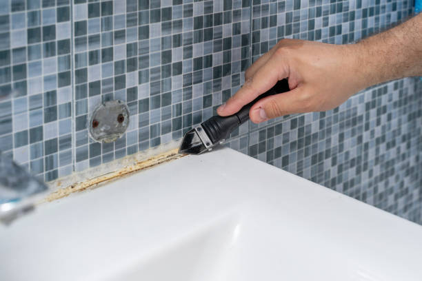 Best Post-Flood Mold Remediation in Topaz Ranch Estates, NV