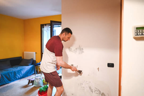 Best Residential Mold Remediation in Topaz Ranch Estates, NV